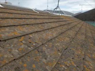 苔がいっぱい生えている屋根